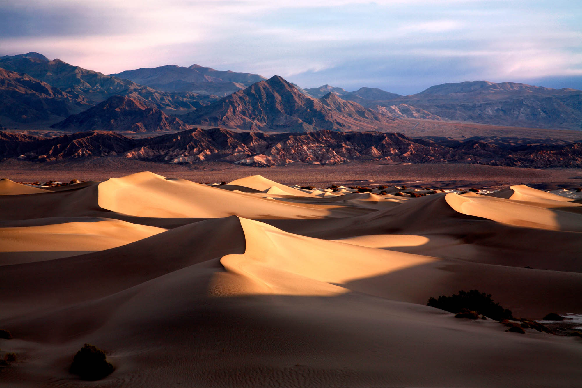 Sand Dunes In Morning Light, Death Valley National Park, California